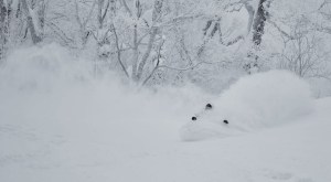 The best snow in Japan over the past week has has been in the central Hokkaido backcountry