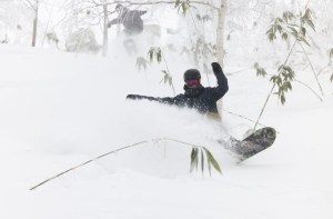 Fresh turns in Rusutsu yesterday. Photo: Rhythm, Japan