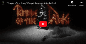 Temple of The Dawg - New Film from Legendary Snowboarder Torgeir Bergrem