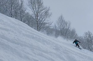 Fun freshies at Cortina, Hakuba. Photo: Hakuba valley