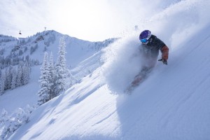 40cms of fresh Utah pow in Snowbird earlier this week. Photo: Snowbird 