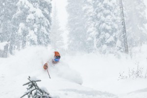 Kate Wilson in Fernie BC last week. Storm skiing is the best skiing. Photo: Steve Reed