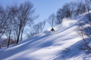 Blue skies made for a good day in the Nozawa backcounty on Tuesday. Amber Grocock malkign the mpost of it. Another front is sue todau that wil bring snow this afternona dn into the weekend for resort. Phto