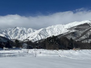 Sunny days in Hakuba. Anow tonight wil break up a run of warm spring weather. 