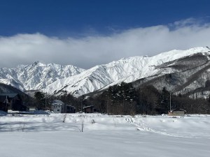 Sunny days in Hakuba. Anow tonight wil break up a run of warm spring weather. 