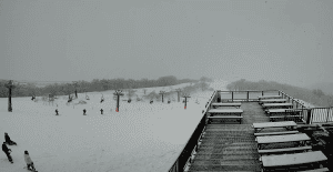 Hakuba Goryu resorts 
 at this morning. The rain over the past two days across Honshu finally turned to snow aournd 6am 