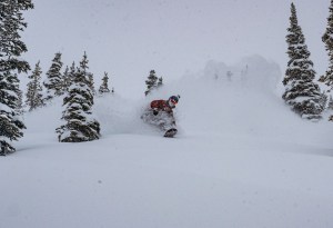 Kicking Horse today after another 37cms overnight, taking the 7-day total to 133cms and back to back days of deep, light dry powder. Photo: Kicking Horse Mountain Resort