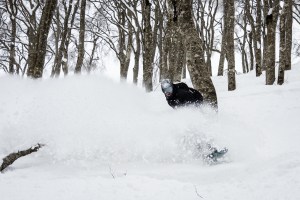 Bart Shiphorst, deep in the trees at Cortina, Hakuba on Tuesday. Photo: Jack Flynn