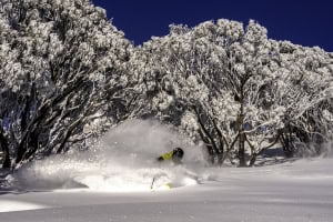 Drew Jolowicz deep in the Hotham powder June 20th. The season starter!