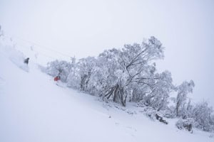 Akex and Tom Eisner enjoying some hometown powder in Buller yesterday. Photo: Tony Harrington
