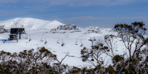 Blue Cow has some of the best beginner terrain in Australia - open spaces with a consistent slope. Photo: Perisher