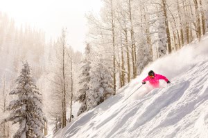 Jeremy Swanson winter 2020 2021
