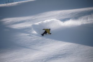 A powder day in Hakuba earlier this week. There will soon be more days like this with a coupe of storms on the way for Japan over the next week. Photo: Late2wenty Media