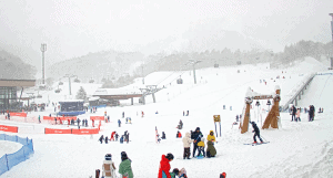 Another snowy day in Niseko this morning