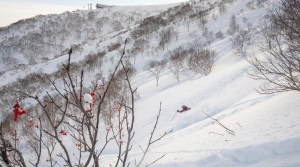 Dry powder on a fine day in Niseko last week. Photo: Advaita Hayes / Sea And Summit Media