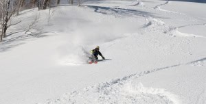 Freshies in the sunshine in Hokkaido earlier this week. Photo: Sea and Summit Media