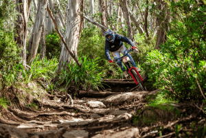 Photo: Thredbo