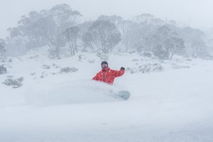 Pow turns in Thredbo yesterday. Photo: Thredbo