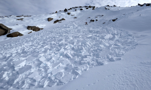 MSC Field Observer Art Hodder inspecting the debris from a larger wind slab avalanche that a skier triggered (without injury) on Wednesday 18 June.