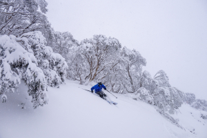 Drew Jolowicz, powder turns in Hotham onMonday morinng. Photo: Chris Hocking