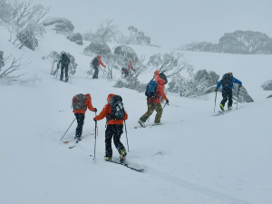 MSC’s early season Field Observer training was held this week in NSW & Victoria.