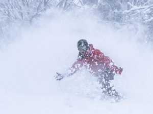 Robbie Walker can't hide the stoke in yesterday's powder day in Mt Buller. Photo: Tony Harrington