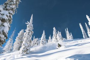 While we didn't score deep powder snow during out trip, Fernie's interior BC location means cold dtemops and ry snow when its on. Carter McMillan on one of these magic days in Fernie last winter. Photo; Steve Reed,courtesy Fernie Alpine Resort