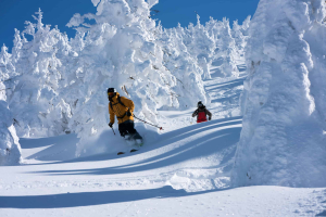 Skiing through the 'snow monsters' un Zao Onsen is a unique experience. Photo: Luke Kneller