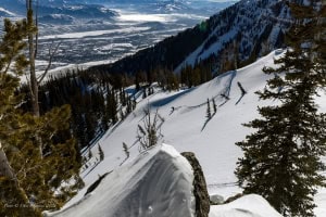Sunshine and cold snow in the Jackson Hole sidecountry yesterday.Photo: Jackson Hole Mountain Resort