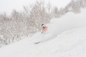 Nisko, last week of January. There will be be more days like this over the next few weeks, but with water periods in between storms. Photo: Sea and Summit Collectover