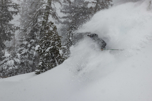 Long awaited powder day in Palisades Taho yesterday after one metre in 24 hours. Photo: Chris Segal
