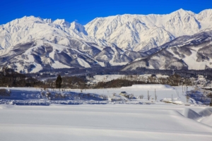 Hakuba's 190 ski resorts are netsjtrled below Japan's spectacular Northern Alps. 